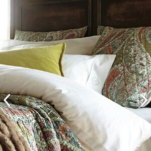 New RaRE Pottery Barn Washed Velvet Pillow Cover, 20”, Absynth Green